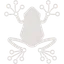 Rainfrog AI lifetime deal