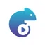 Swish Live Streaming lifetime deal
